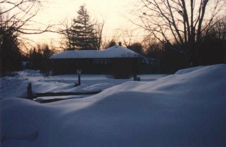 Image: A view out my kitchen window