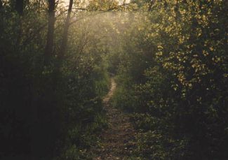 Image: Path from St. Andrews to Upper Cambridge