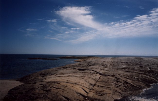 Sheldrake1.jpg - 42 K